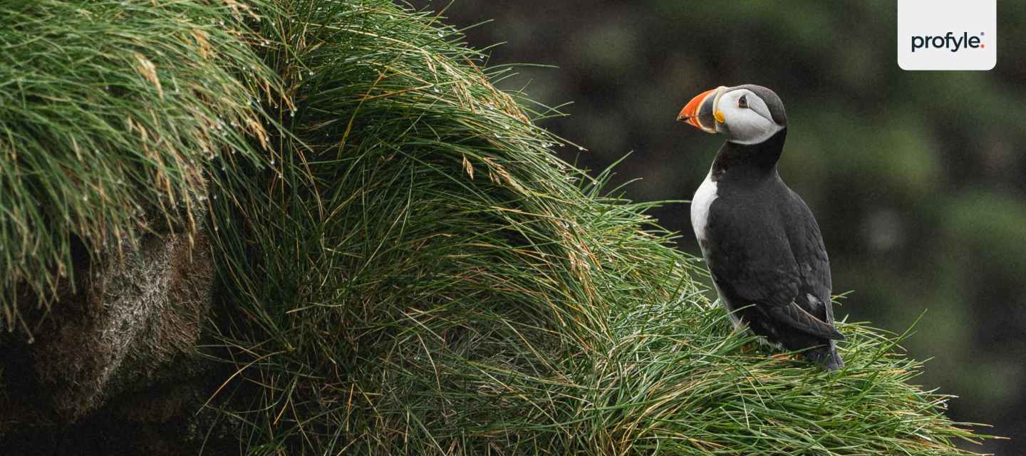 80% of the world's terrestrial species rely on forests.